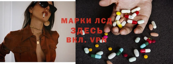 хмурый Каменка