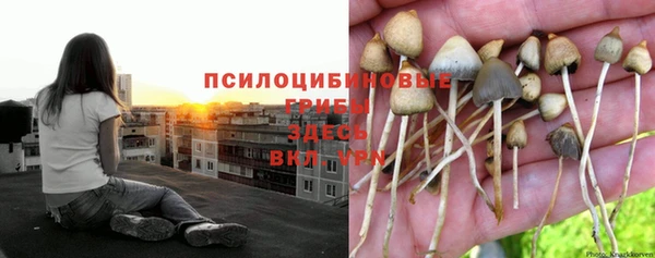 мяу мяу мука Каменногорск