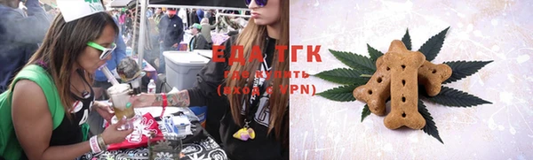 хмурый Каменка