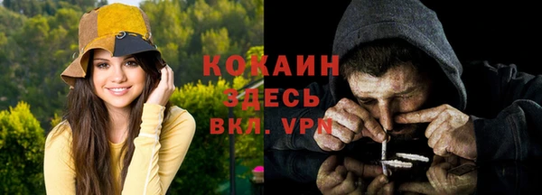 хмурый Каменка