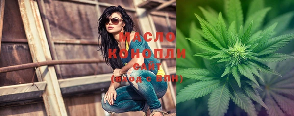 хмурый Каменка