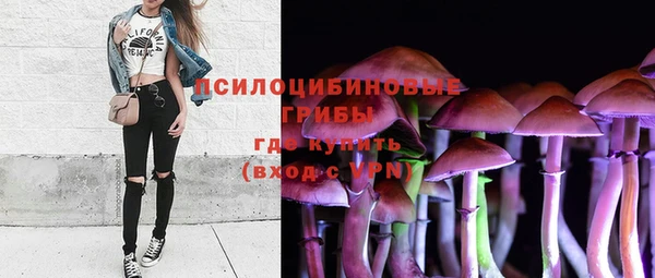 мяу мяу мука Каменногорск