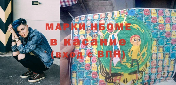 хмурый Каменка