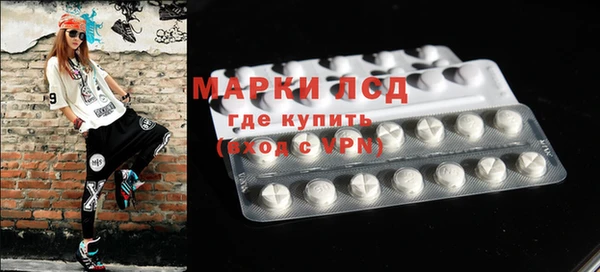 хмурый Каменка