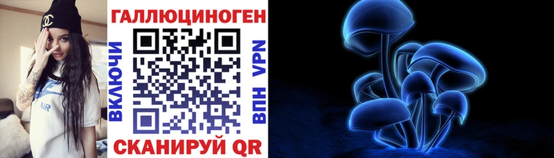 Купить где  Чишмы  Псилоцибиновые грибы мицелий 